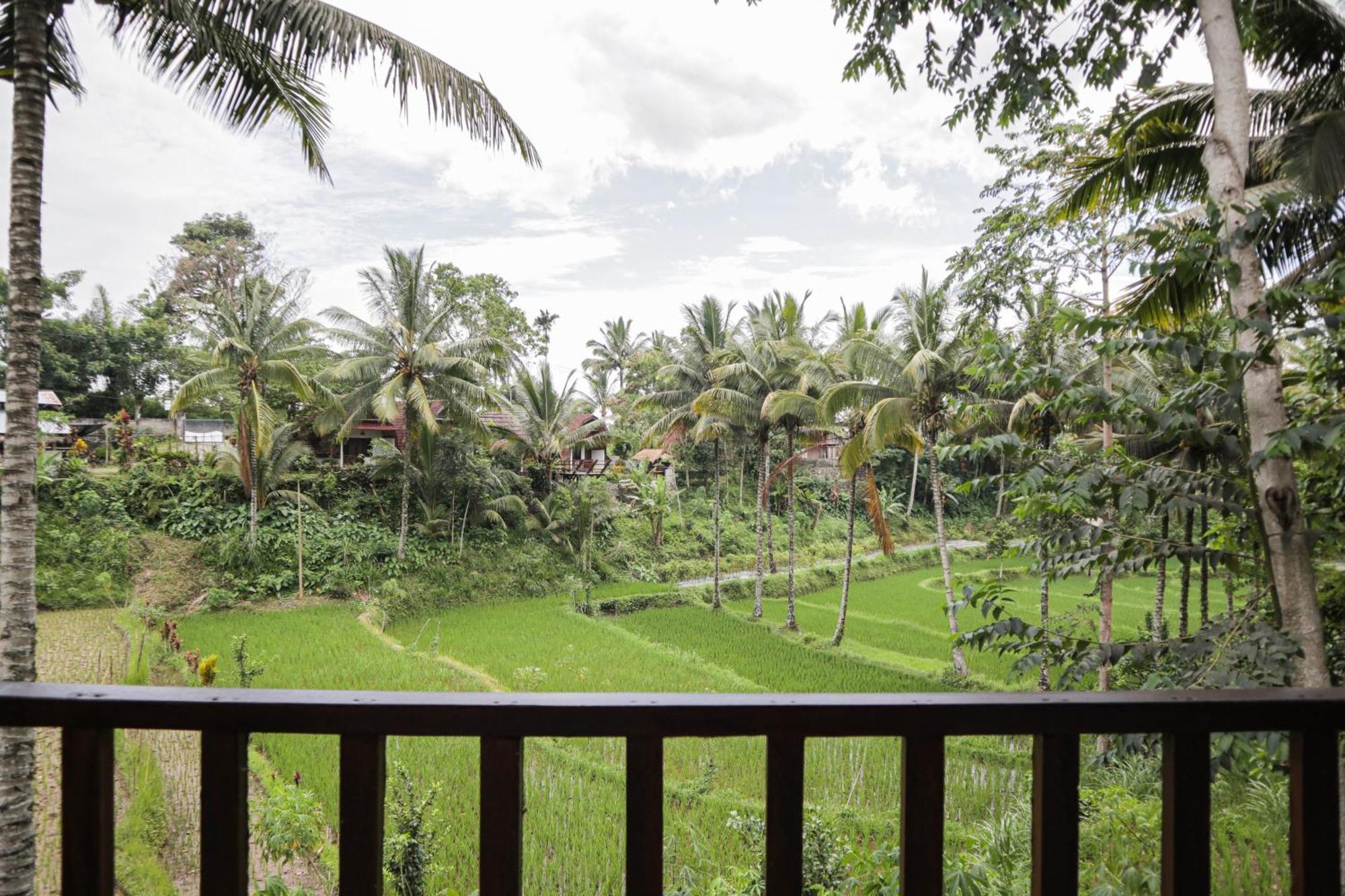 Nea Cottage Lombok Tetebatu Esterno foto