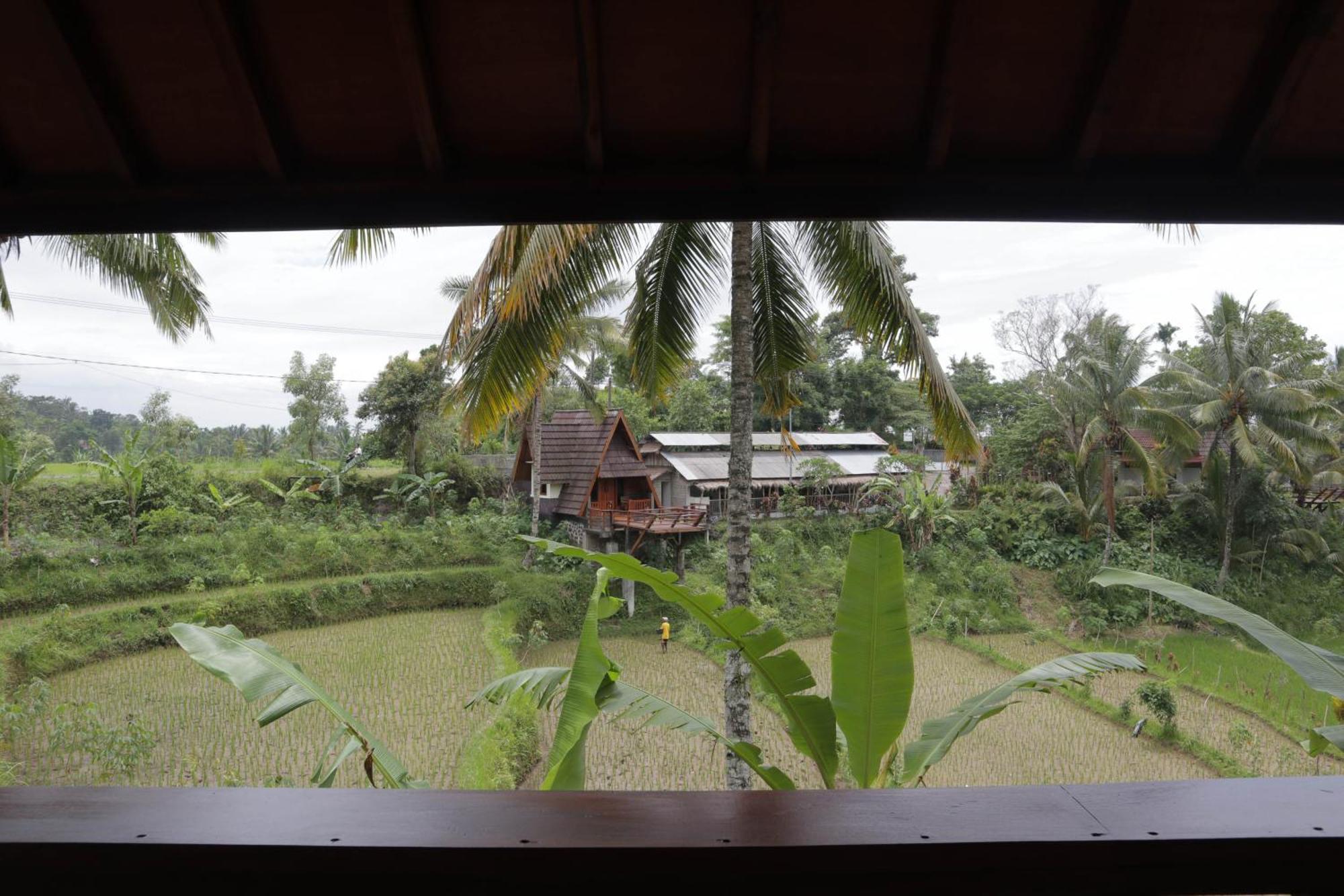 Nea Cottage Lombok Tetebatu Esterno foto
