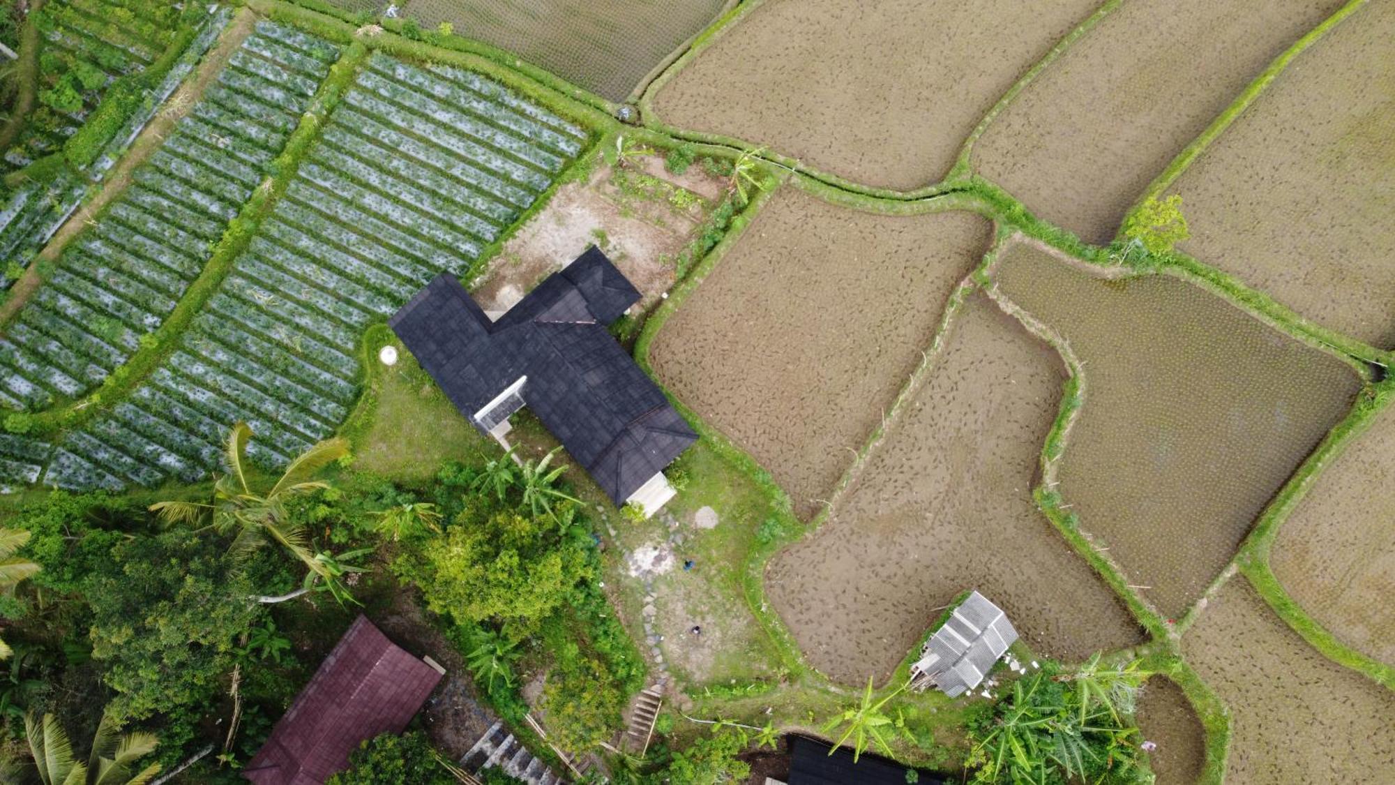 Nea Cottage Lombok Tetebatu Esterno foto