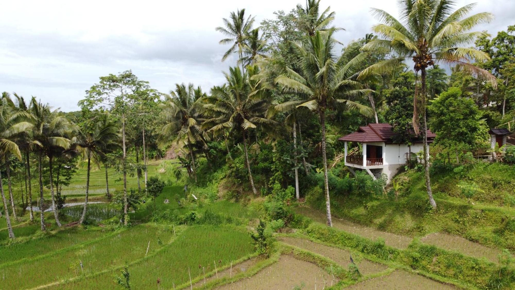 Nea Cottage Lombok Tetebatu Esterno foto
