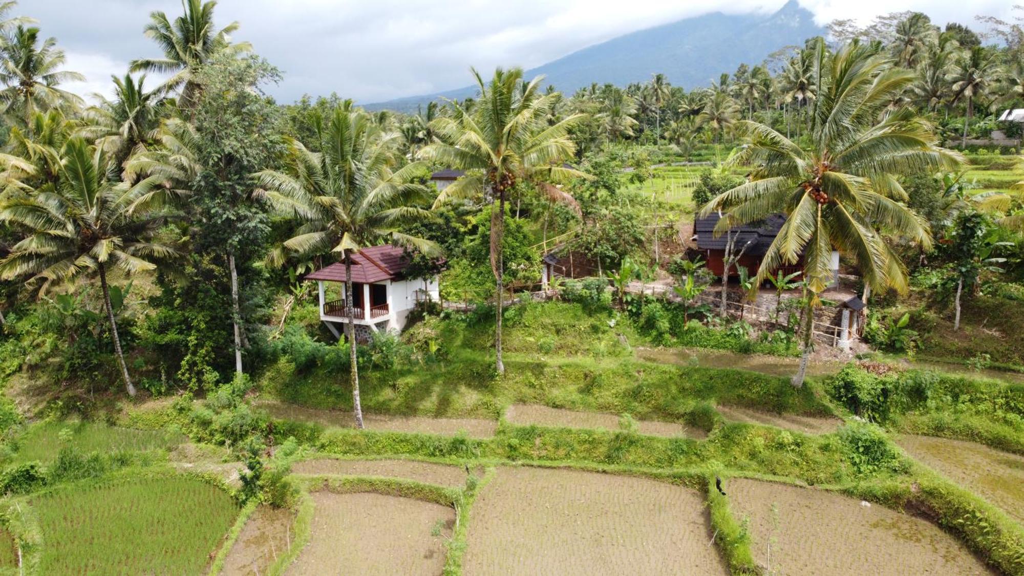 Nea Cottage Lombok Tetebatu Esterno foto