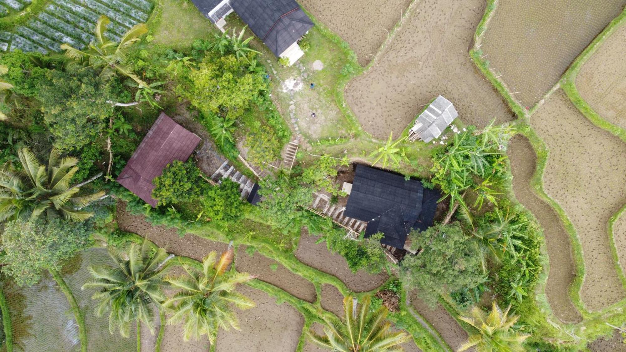 Nea Cottage Lombok Tetebatu Esterno foto