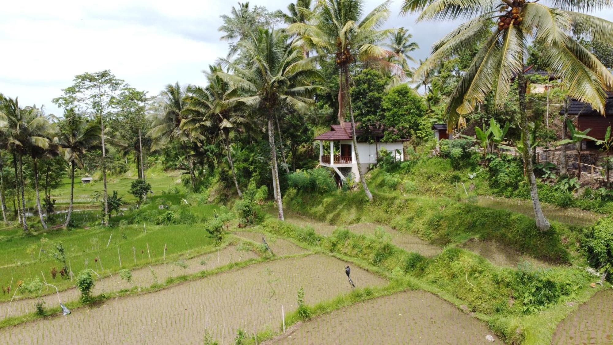 Nea Cottage Lombok Tetebatu Esterno foto