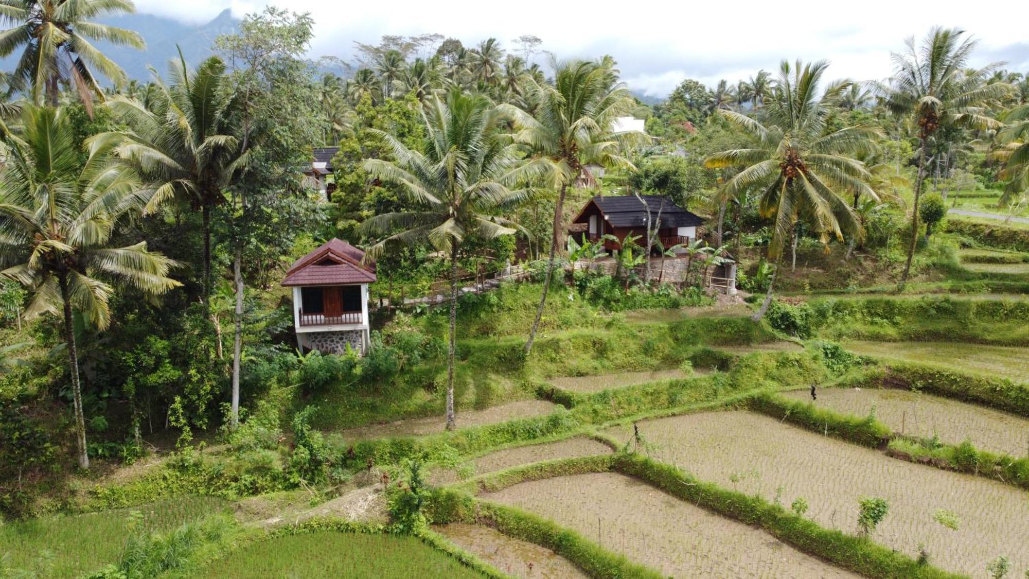 Nea Cottage Lombok Tetebatu Esterno foto