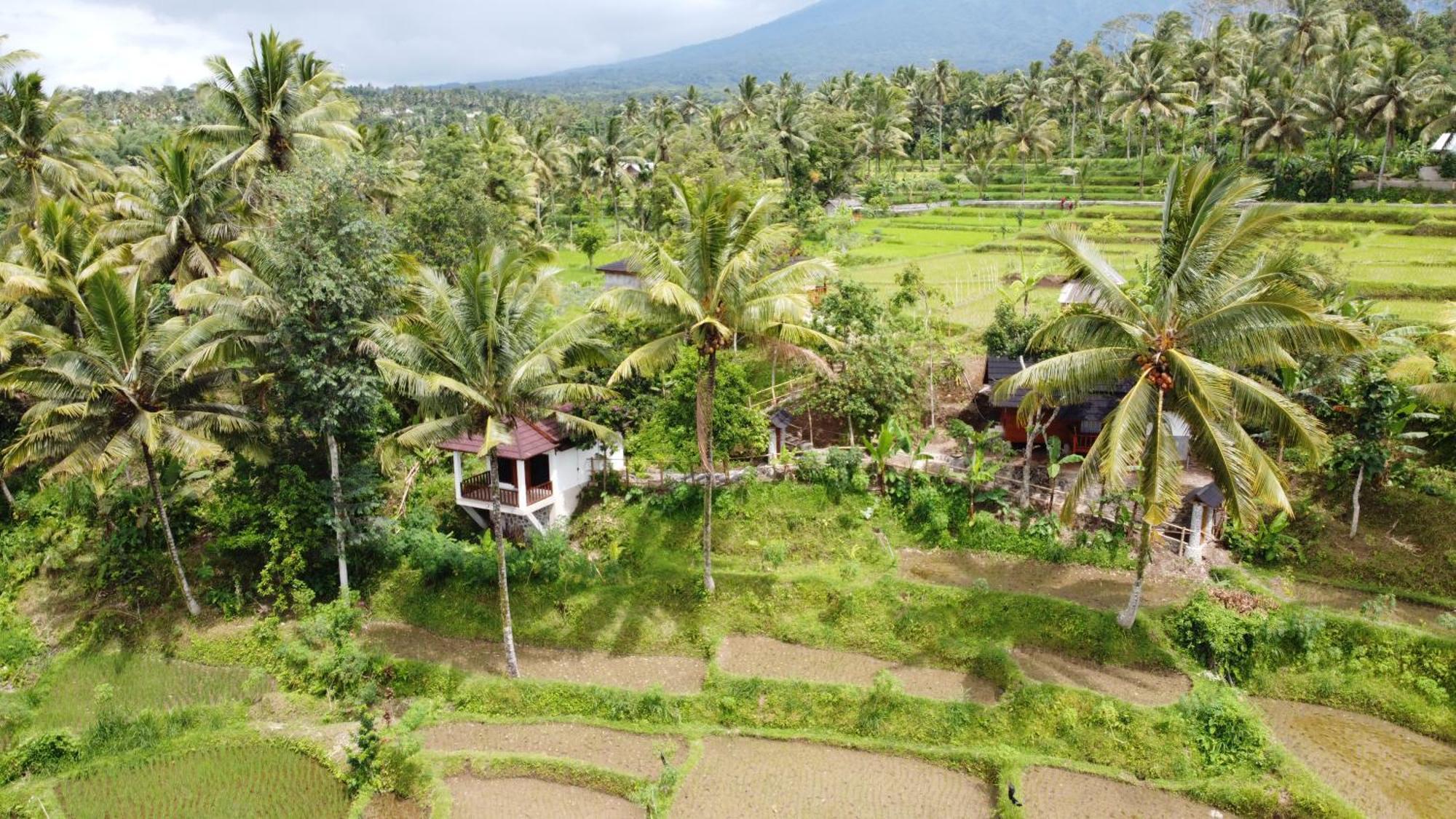 Nea Cottage Lombok Tetebatu Esterno foto
