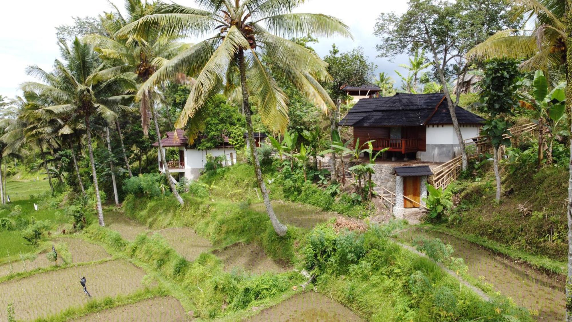 Nea Cottage Lombok Tetebatu Esterno foto