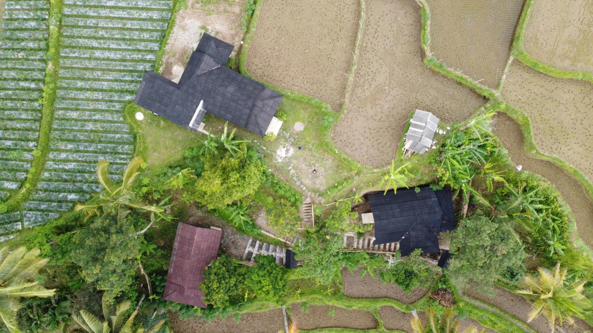 Nea Cottage Lombok Tetebatu Esterno foto