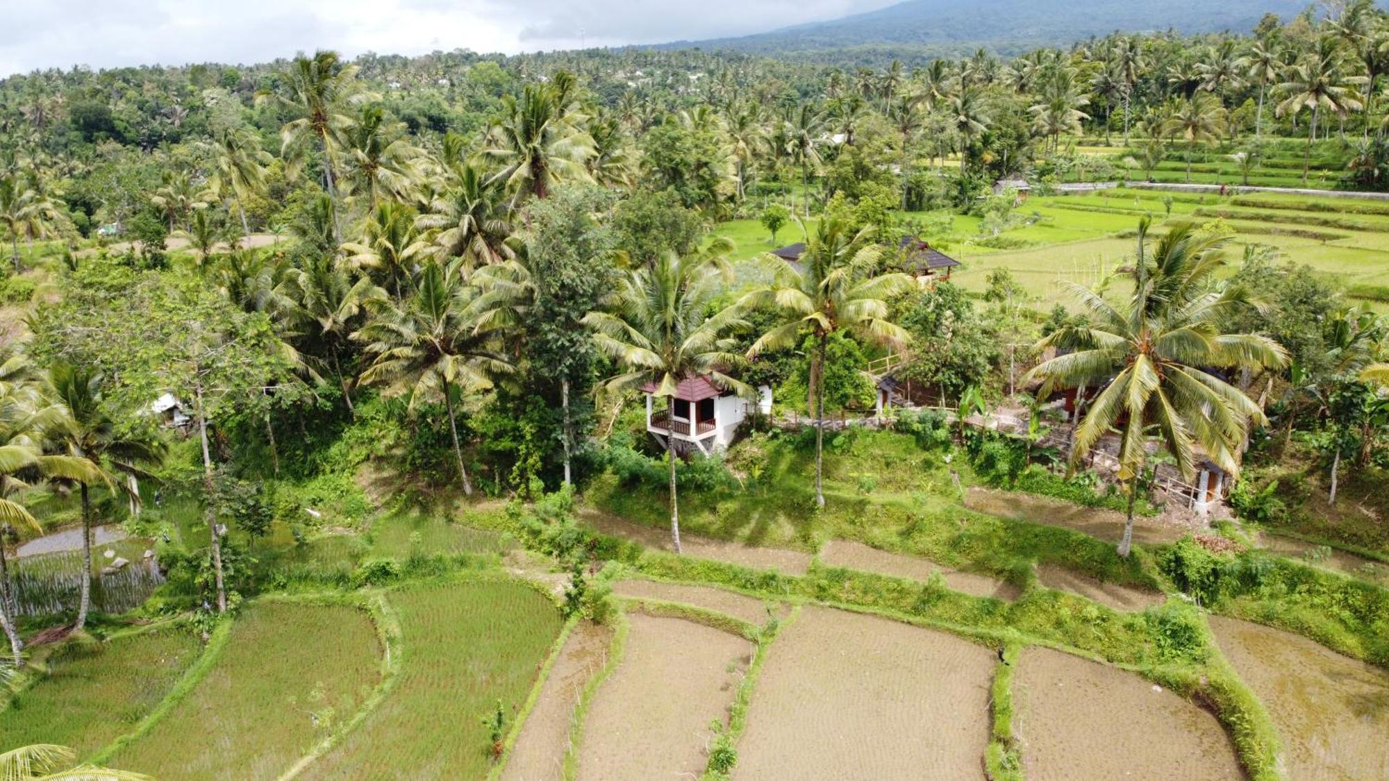 Nea Cottage Lombok Tetebatu Esterno foto