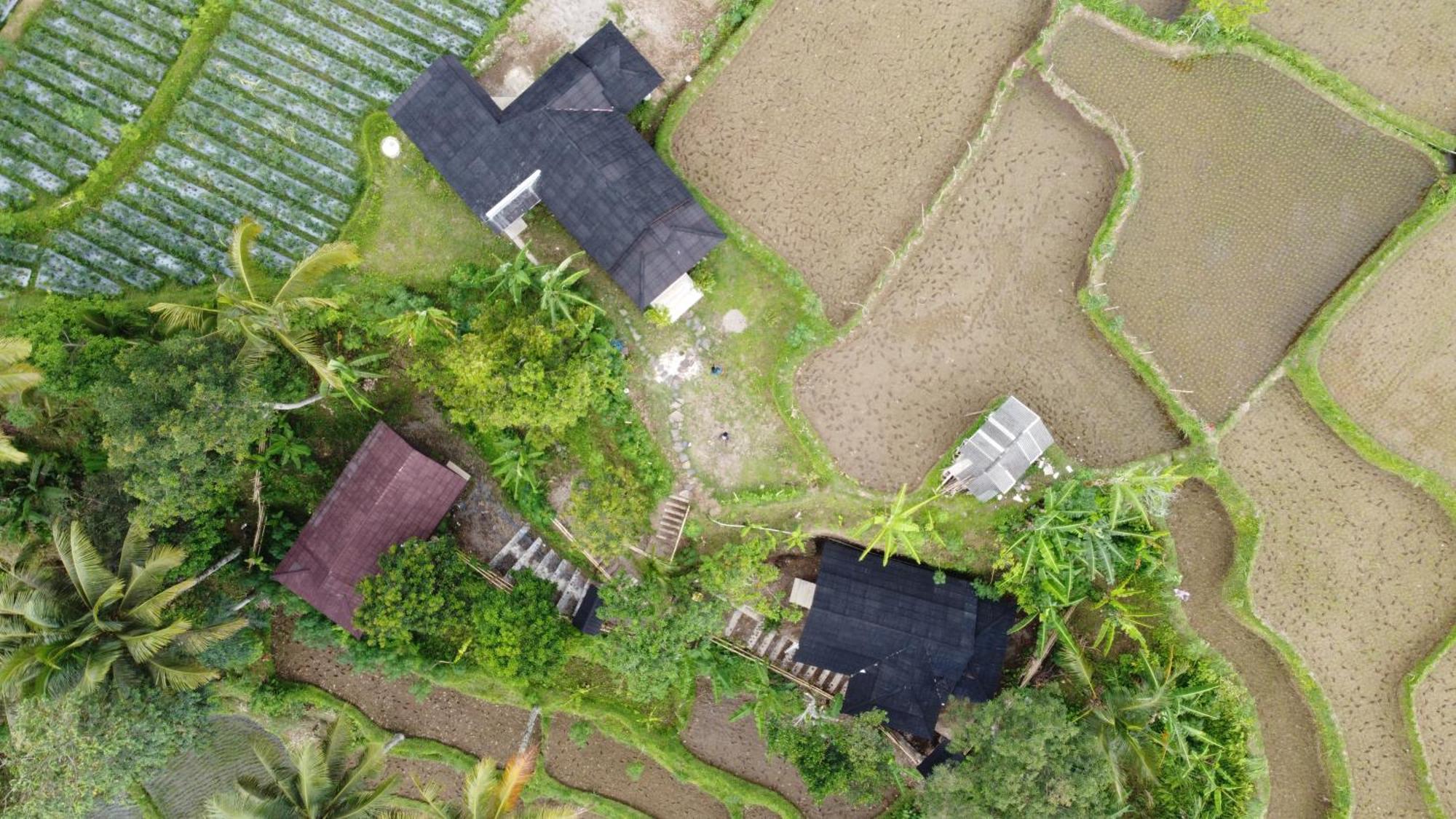 Nea Cottage Lombok Tetebatu Esterno foto