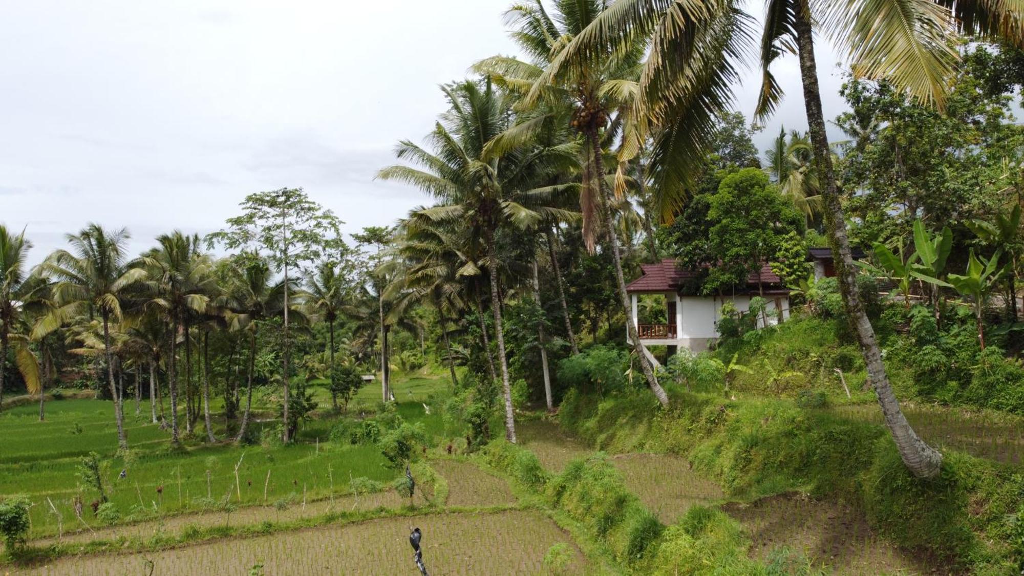 Nea Cottage Lombok Tetebatu Esterno foto