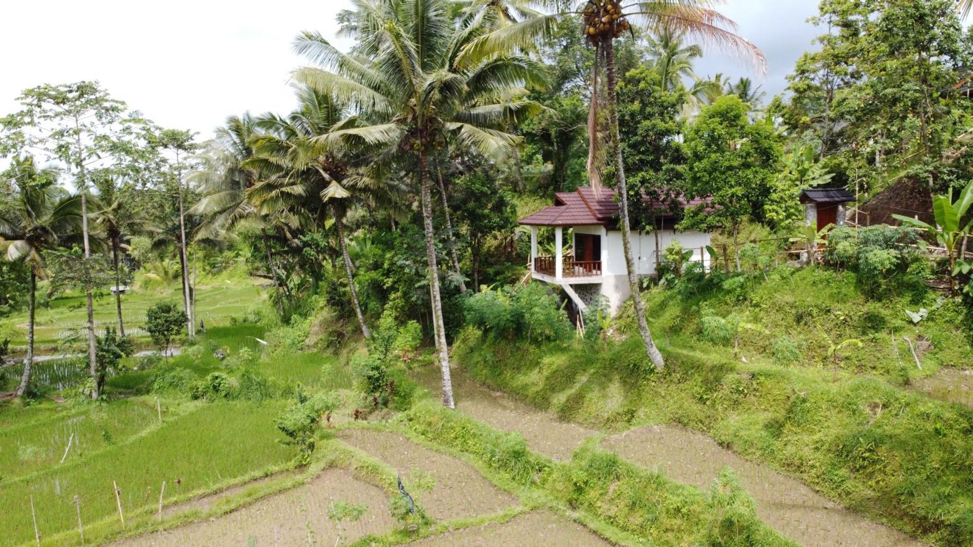 Nea Cottage Lombok Tetebatu Esterno foto