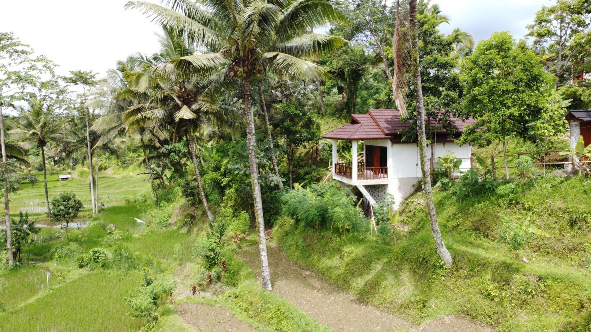 Nea Cottage Lombok Tetebatu Esterno foto
