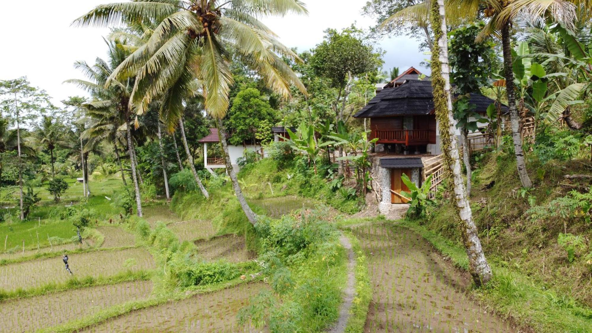 Nea Cottage Lombok Tetebatu Esterno foto