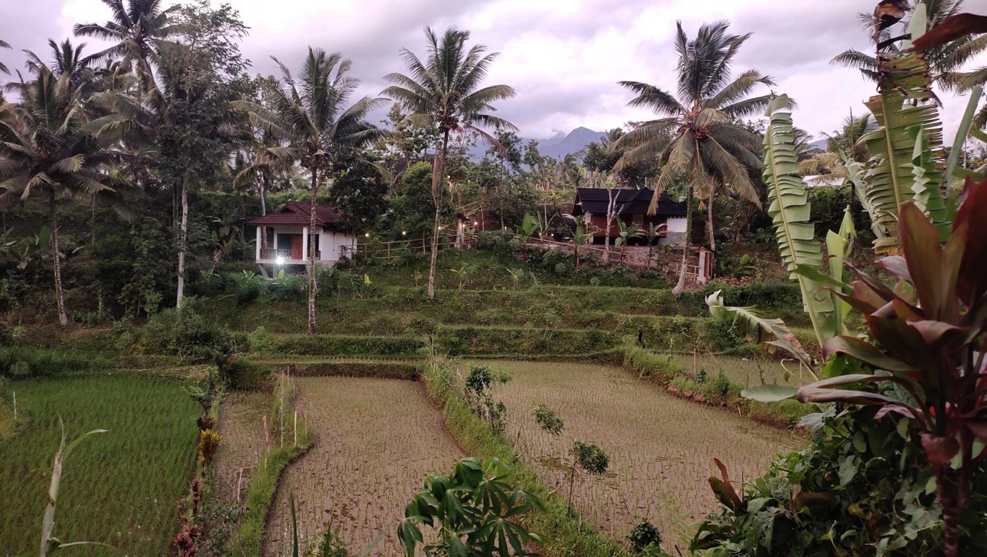 Nea Cottage Lombok Tetebatu Esterno foto