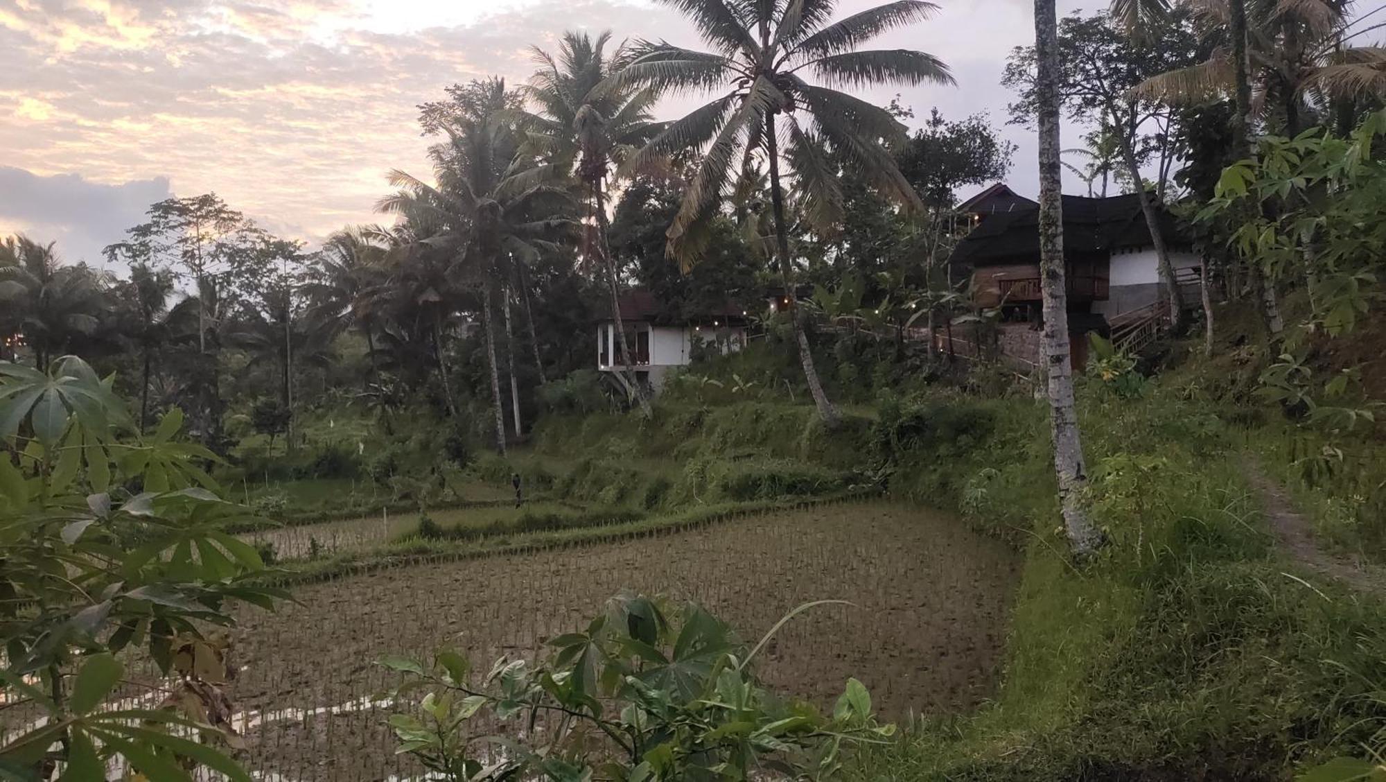Nea Cottage Lombok Tetebatu Esterno foto