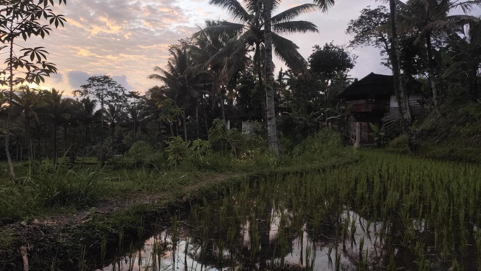 Nea Cottage Lombok Tetebatu Esterno foto