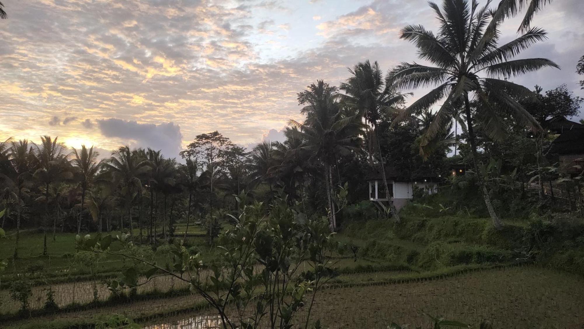 Nea Cottage Lombok Tetebatu Esterno foto