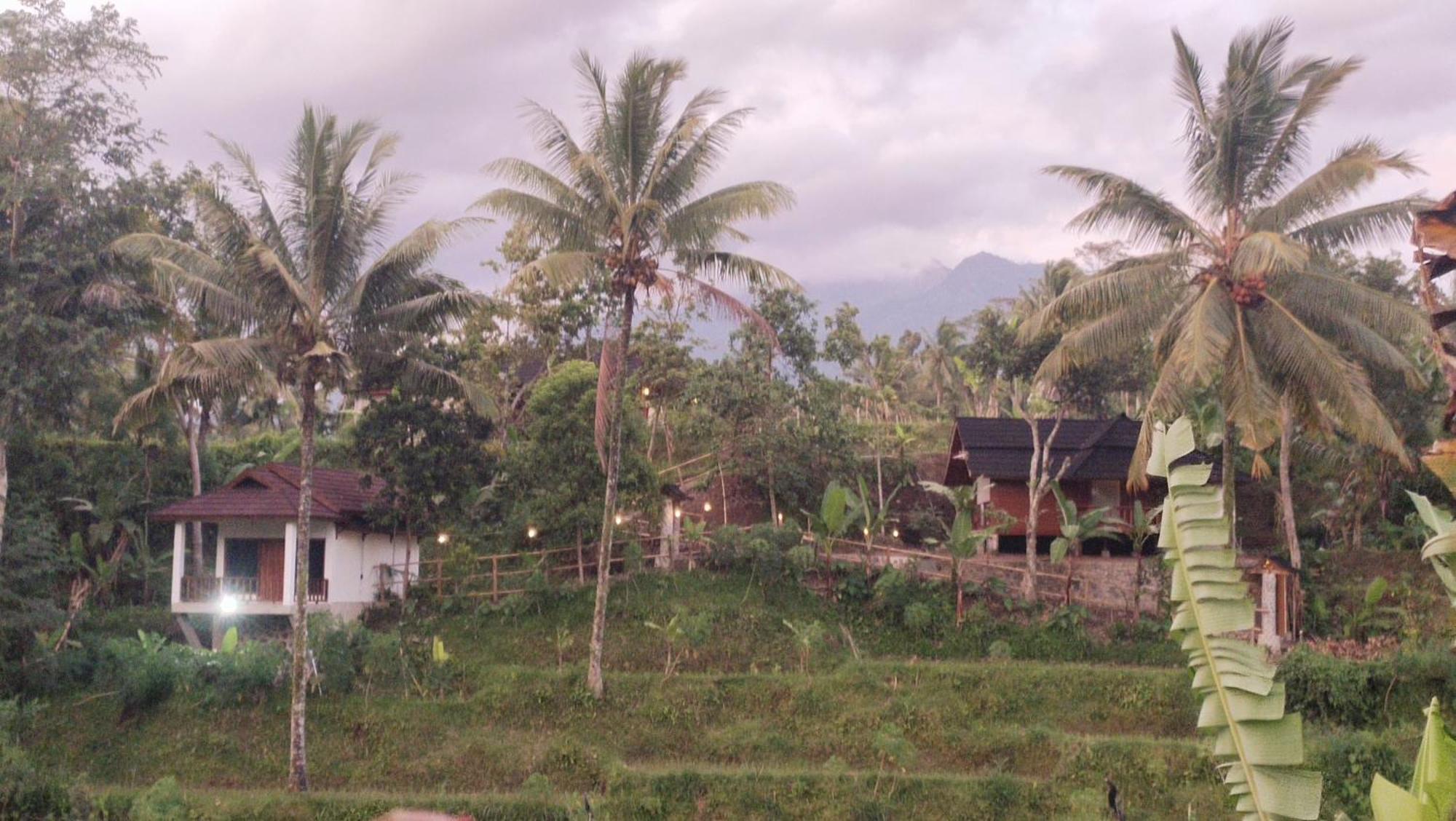 Nea Cottage Lombok Tetebatu Esterno foto
