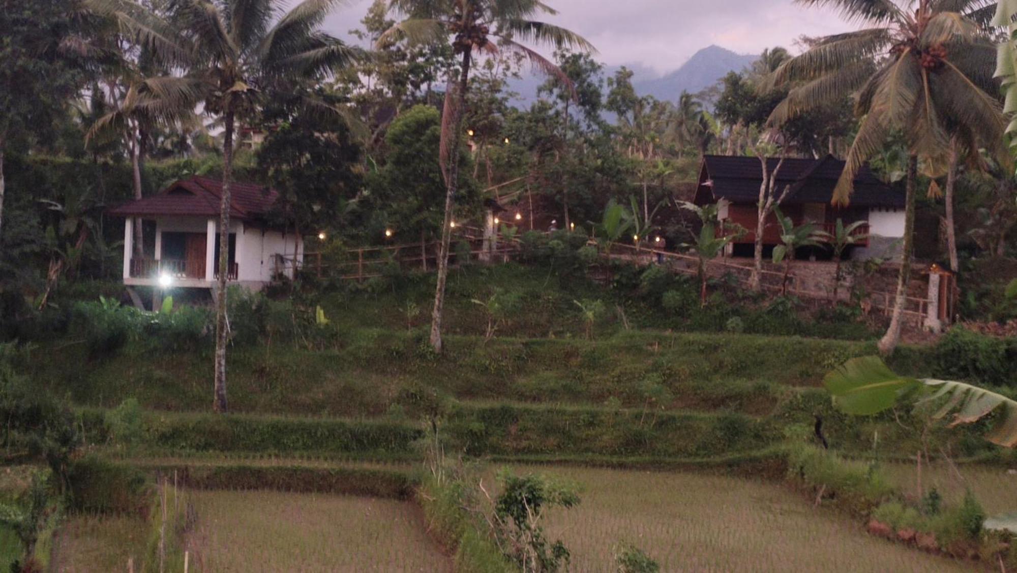 Nea Cottage Lombok Tetebatu Esterno foto
