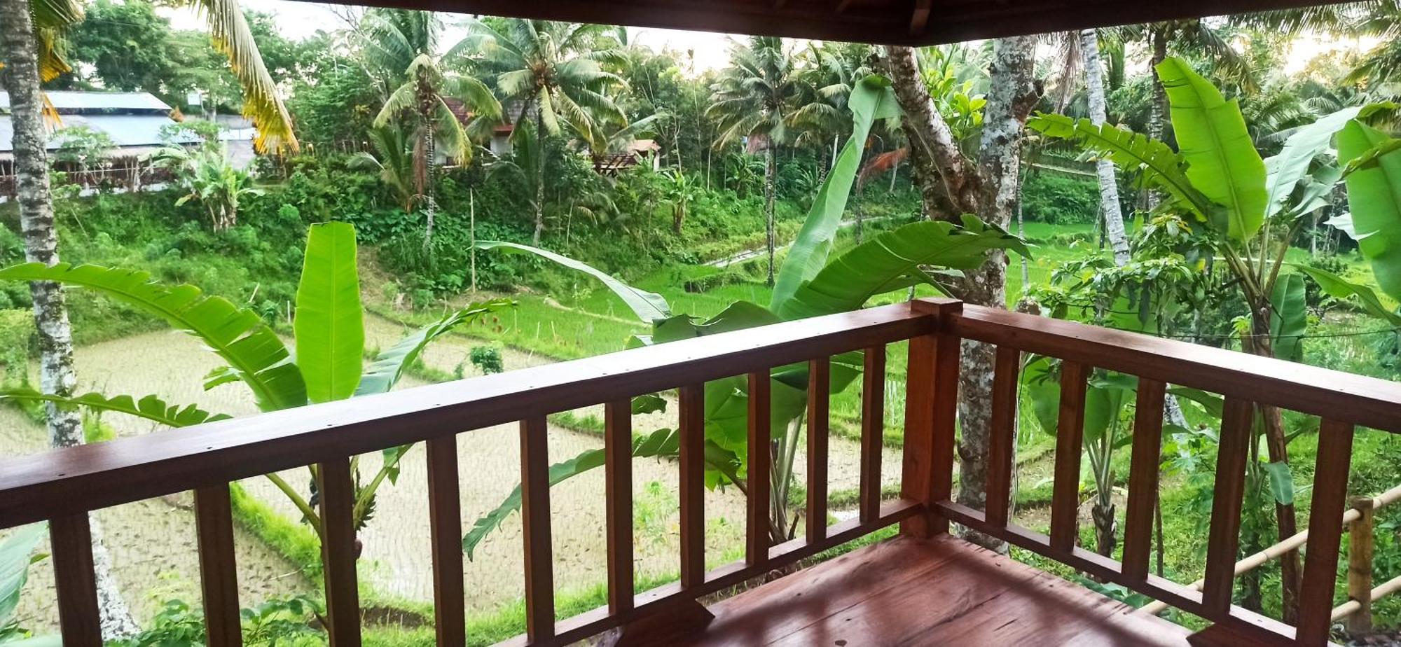 Nea Cottage Lombok Tetebatu Esterno foto